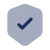 shield-tick_icon